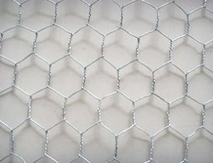 China hexagonal wire mesh 10mm with wire mesh size and wire mesh price on sale
