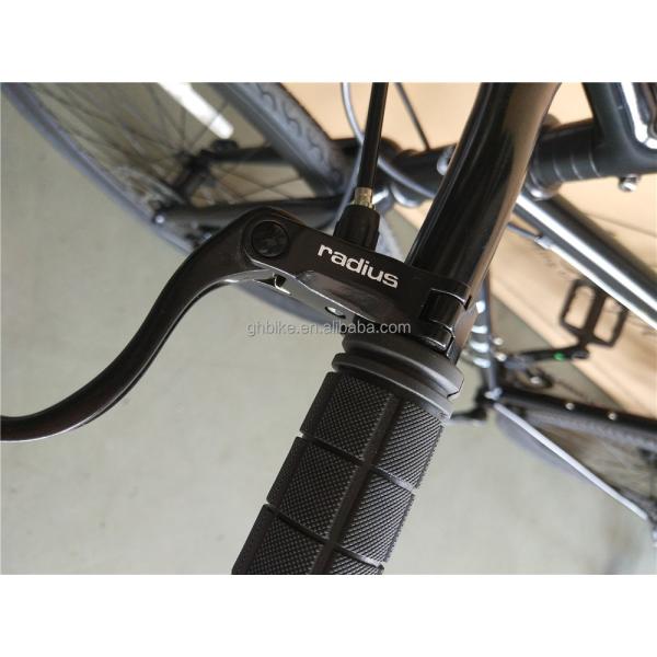 Shimano Gear Hard Frame Disc Brake OEM Chromoly 4130 Frame Mens Adult Hybrid City Cruiser Bicycle Road Bike