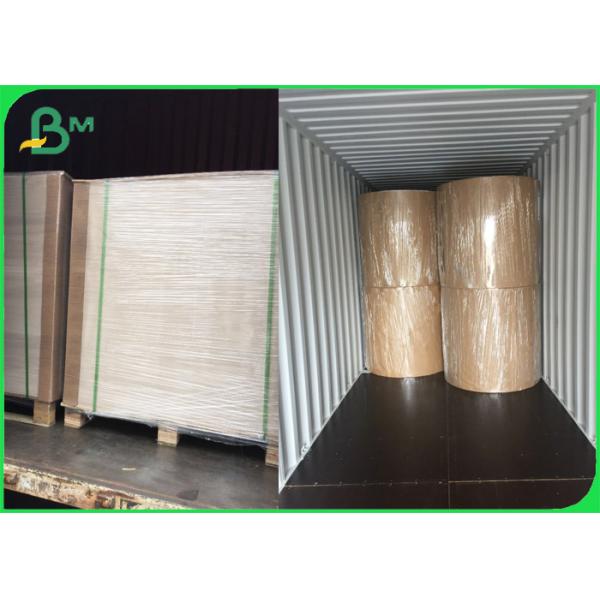 FDA approved 1 side PE Coating Brown Craft Paper Rolls 36" for Metal Packaging