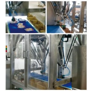 Leadworld Automatic Rotary Bag Packaging line Multifunctional Pre-made Bag