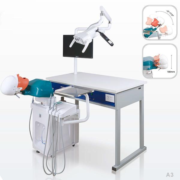 Buy School Ultraportable Dental Phantom Head , Removable Dental Simulation Unit at wholesale prices