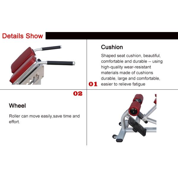 Pro Commercial Gym Rack And Exercise Equipment Back Extension Bench