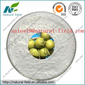 Serenoa Serrulata Fruit Extract supplier with factory price
