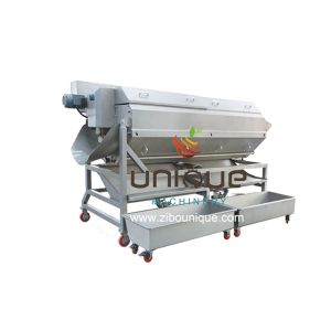 China Continuous Potato Cleaning and Polishing Processing Line with Perfect Peeling Effect on sale