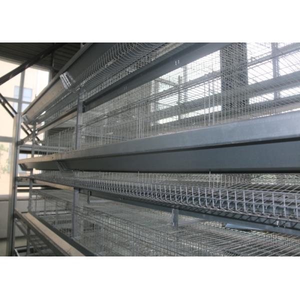 Buy 3 Tiers Chicken Layer Equipment / Galvanized Chicken Farm Poultry Equipment at wholesale prices