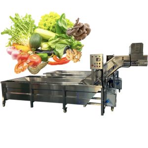 Anti Erosion Fruit Vegetable Washing Machine 50Hz For Industrial