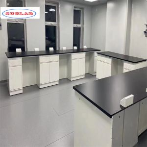 Standard Chemistry Lab Bench with Number of Shelves As Drawing