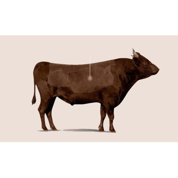 BN Smart Home Cinema Sofa VIP Cinema Multi Functional Electric Private Cinema Villa Luxury Business Sofa Chair