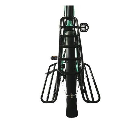 20" Magnesium Alloy Frame Ananda Bafang MID Drive Electric Bike for Family or