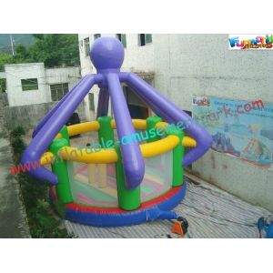Kids Funny Inflatables Bouncy Castles , Inflatable Jumper House With CE /