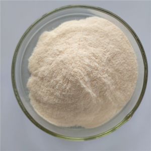 Wholesale Carica Papaya Fruit Juice Powder/Carica Papaya