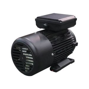 0.37KW IP54 3hp AC Asynchronous Motor Centrifugal Switch