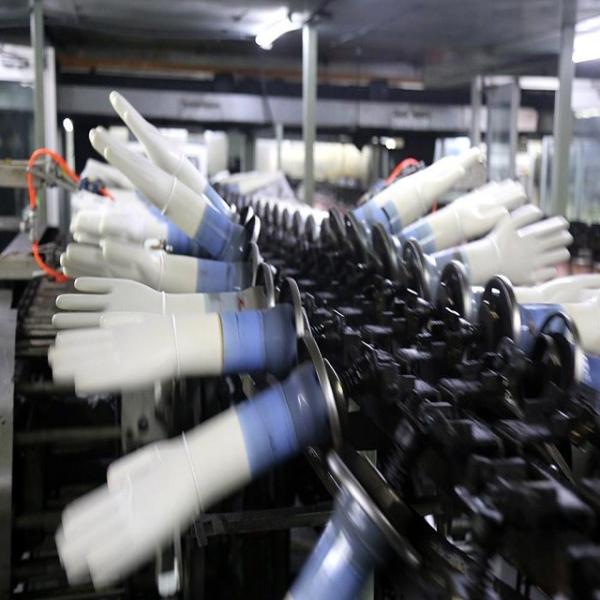 Buy High Speed Medical Latex Gloves Production Line 220V at wholesale prices