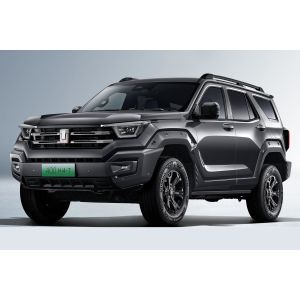 2024 Tank 400 Medium SUV Gasoline Car Road 4WD Vehicle Great Wall within Euro