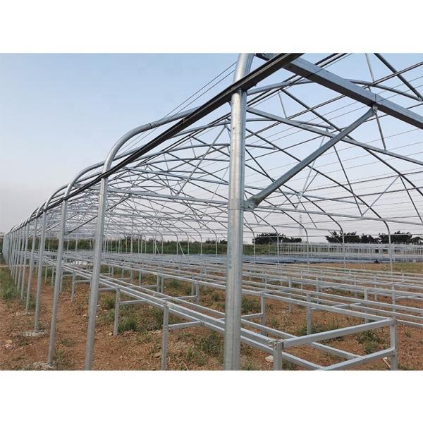 Buy Customizable Metal Pipe Frame Greenhouse With 200micron Plastic Film at wholesale prices