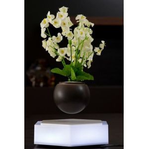 Levitating Air Bonsai Pot Rotation Planters Magnetic Levitation Suspension