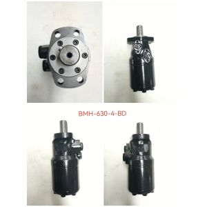 BMH-630-4BD BMH-500-4BDN1 BMR-320-4BD-N1 BM1-200 BM1-250 Cycloidal Gear Motor /