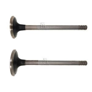 Exhaust Valve 04284043 04289029 04284042 04286028 0428 4043 0428 9029 0428 4042