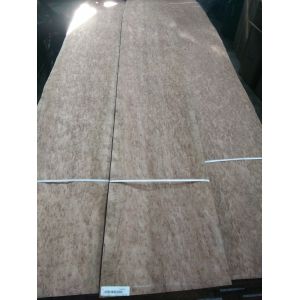 Eucalyptus Pommele Natural Wood Veneers Eucalyptus Sliced Veneer