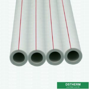 PPR Polypropylene Pipe ISO 9001 DIN 8077/8078 Polypropylene Color customization