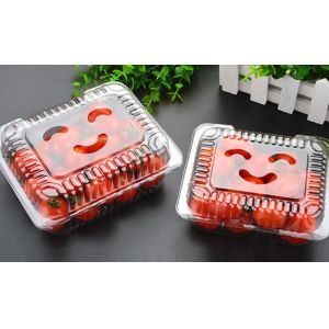 Hot Selling Plastic PET Sandwich Containers Cake Bread Container Plastic