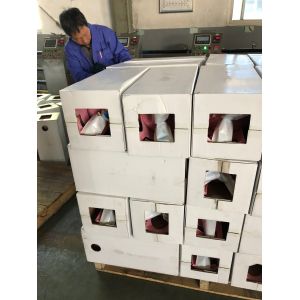 Disposable 11.3kg R410A Refrigerant 25lb Cylinder High Purity