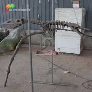 Museum Exhibition Resin Dinosaur Skeleton Quetzalcoatlus Skeleton Customizable