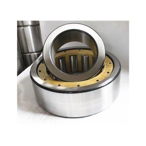 Machine Tools Double / Single Row Industrial Cylindrical Roller Bearings NN3019K