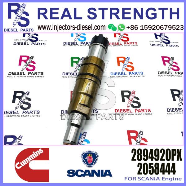 Fuel Injector Assembly 2872544 2086663 2057401 2894920PX 2058444 2872405 203183 Common Rail Injector