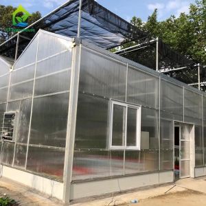 Venlo Commercial Polycarbonate PC Sheet Agricultural Large Tunnel Greenhouse