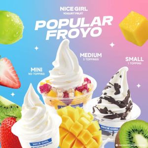 Various Flavor Malaysia Frozen Yogurt Franchise With Natural Ingredients