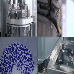 Automatic Capsule Production Line Equipment 380V