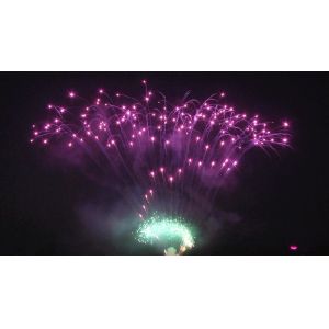 China Liuyang Mandarin Cake Pyrotechnics 208 Shots Professional Display Fireworks 1.3g on sale