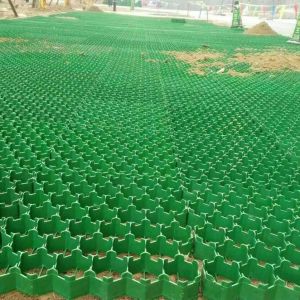 Heavy-Duty HDPE Grass Paver Grid for Permeable Ground Reinforcement, Driveways,