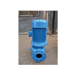 Single Phase Pipeline Water Pump Horizontal Vertical Centrifugal Booster Pump