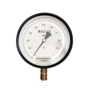 High Precision Customizable Stainless Steel Digital Pressure Gauge for Liquid
