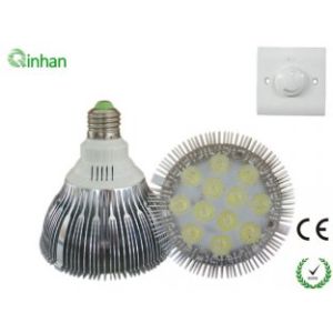 PAR38 E27 / E26 12W AC 110 / 240V Dimmable LED Spotlight QH-P38DS-1W12B