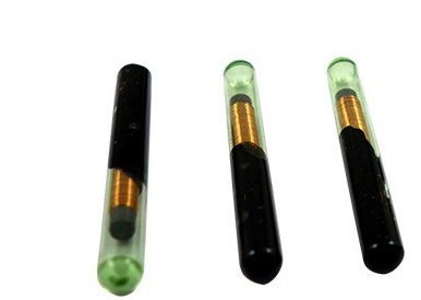 Buy ISO Injectable Animal Management Bioglass Dog ID Microchip 134.2KHz at wholesale prices