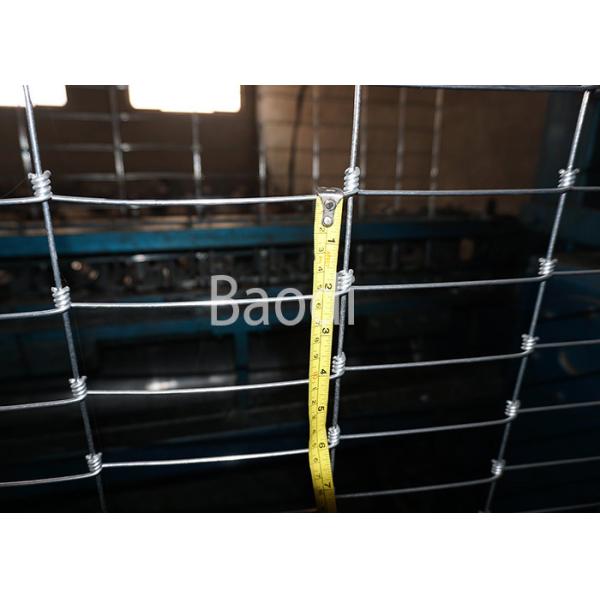 Hot Dipped Galvanized Woven Field Fence , Sheep Wire Fencing With Rectangular
