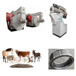 45KW Ring Die Feed Pellet Machine Sheep Cattle Feed Pellet Machine