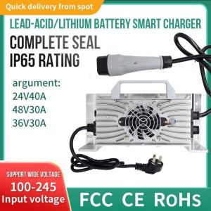 LiFePO4 Liion 12V/24V/36V/48V/60V 8A 10A 15A 20A 30A Charger for Scooter E