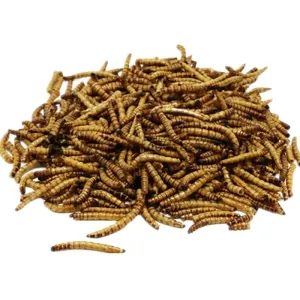 Quality Widely Available Dried BSF Larvae Perfect for Insect Nutrition for sale