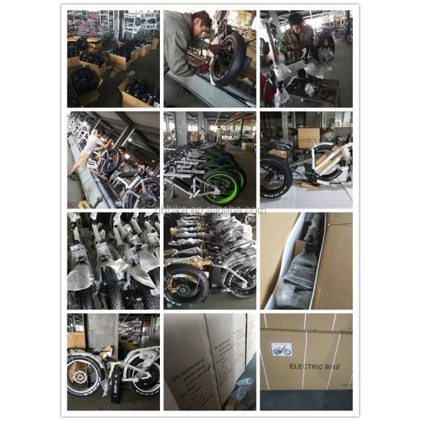 20 Inch 48V 500W 750W 1000W Electric Folding Bike with Fat Tire Max Speed 30-50Km/h