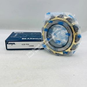 KOYO Eccentric Roller Bearing 618YSX , 618 YSX