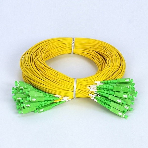 China OS2 LSZH 24 Cores Fiber Optic Breakout Patch Cable G657A2 SC To SC on sale China OS2 LSZH 24 Cores Fiber Optic Breakout Patch Cable G657A2 SC To SC on sale