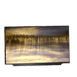 New B173HAN05.0 RGB 1920*1080 Frequency 240Hz LCD Panel