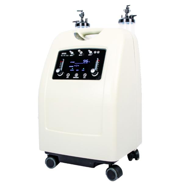China Hot sale Medical 10L Household double flow oxygen generator & home use Oxygen Concentration on sale