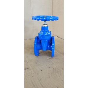 Resilient Soft Seated 2 Inch Water Gate Valve PN10 PN16 Custom