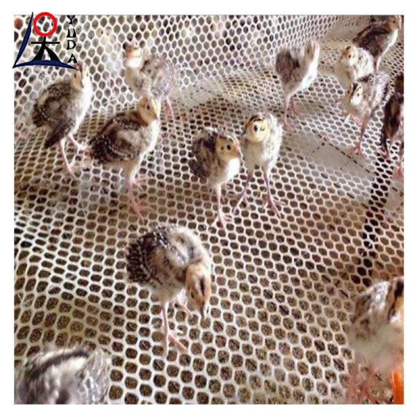 Pp Plastic Netting Hdpe Extruded Aquaculture Net Plastic Flat Wire Mesh