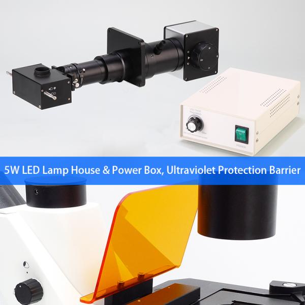 Binocular Wide Field Fluorescence Microscopy A16.2614 40X - 1600X Magnification